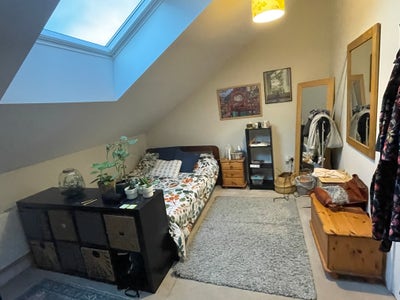 New lodger - St Werburghs, Brooks Dye Community Main Photo