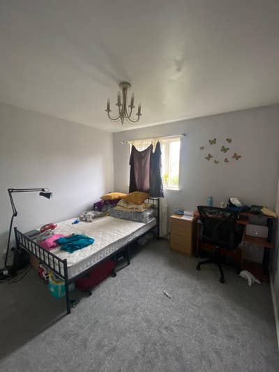 Looking for a housemate  Main Photo