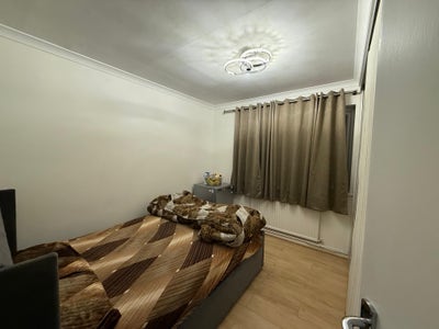 Double room available for Indian vegetarian  Main Photo