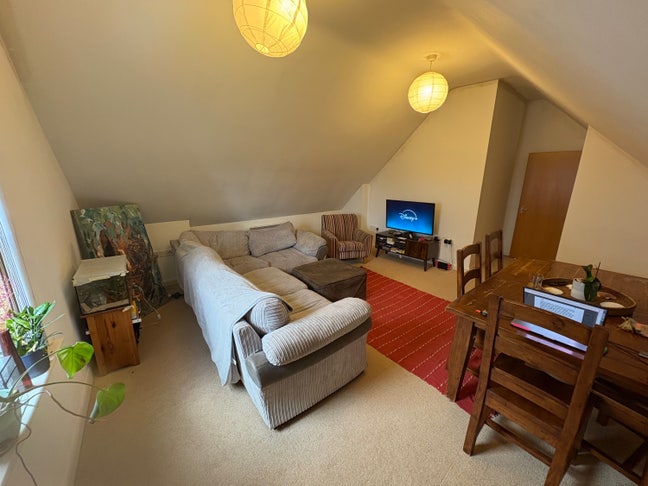 Double room in spacious flat Main Photo