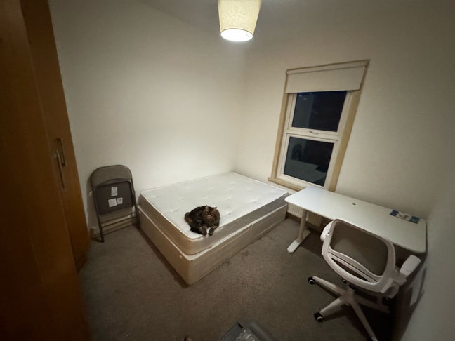 1 Double bedroom in Finchely  Main Photo