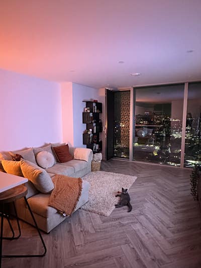 1 bed 36th floor city skyline view! 🌃 Main Photo