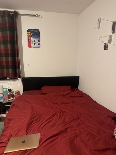 Room for Rent - All bills included  Main Photo