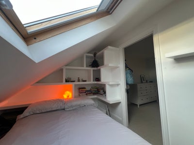 Looking for a new housemate 🏡 Main Photo