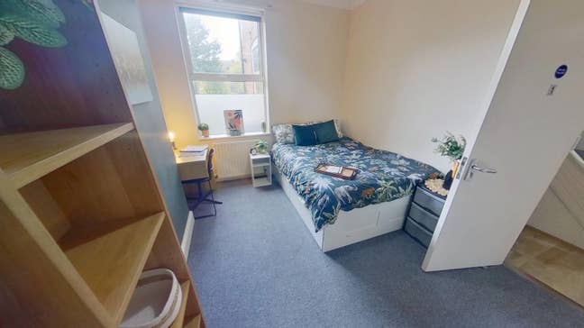 Modern House Share on Lady Bay Road - 6 beds Main Photo