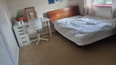 Funished Double room house share Main Photo