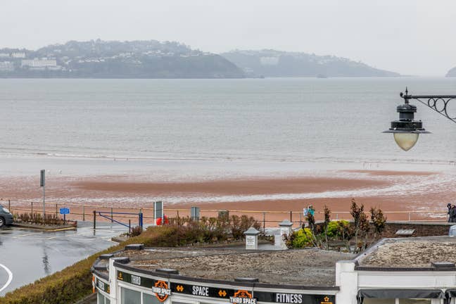 Double Room with a Sea-View Main Photo