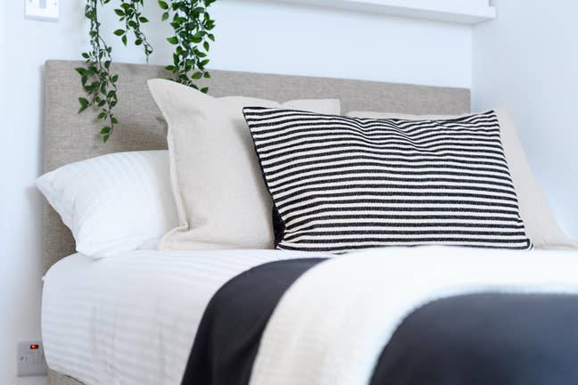 🌟 Beautiful Shared Home with Garden Sanctuary 🌟 Main Photo