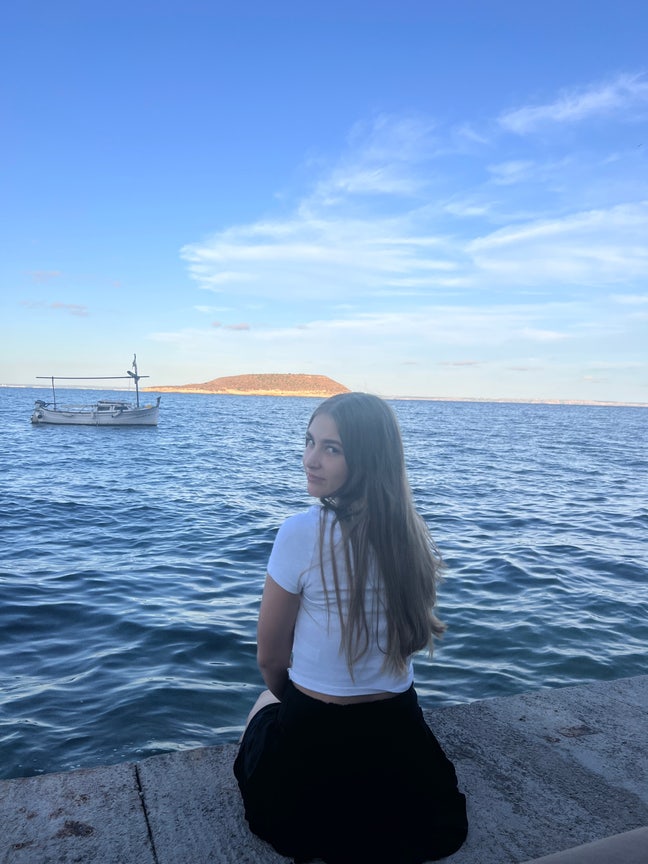 Professional Female seeks a single or double room Main Photo