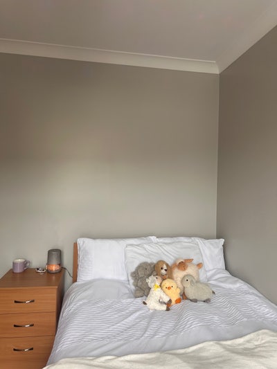 One bedroom available ASAP! Main Photo