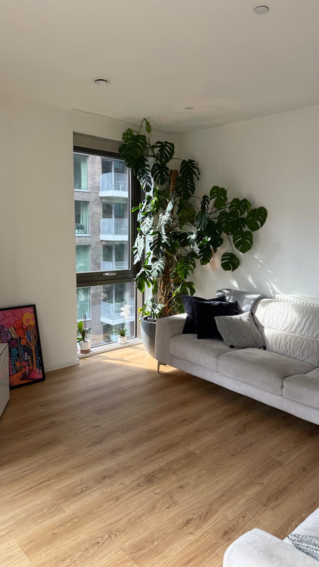 Bright double room in modern flat SW11 Main Photo