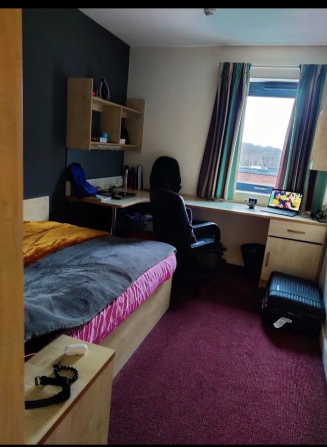 Double room available at 585  Main Photo