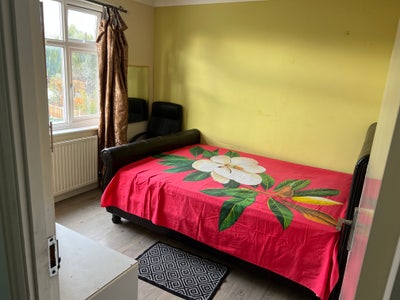 Bright & Spacious Double Room - 5mins to Station  Main Photo