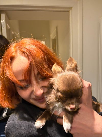 Looking for a buddy up 2/3 people for a house/flat Main Photo