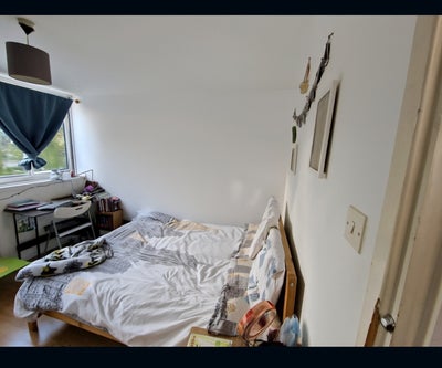 Double Room  Main Photo