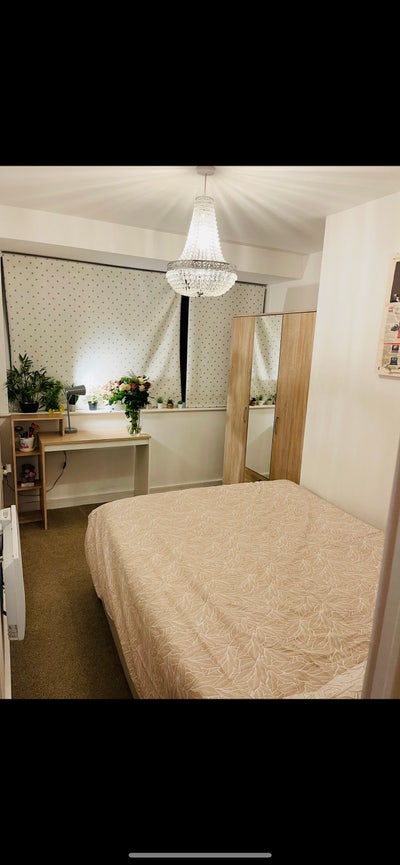 Private  Double Room Available  for Single Female  Main Photo