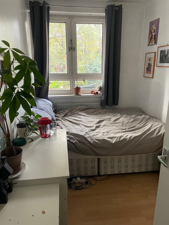 Room in sociable flat near to Victoria park Main Photo