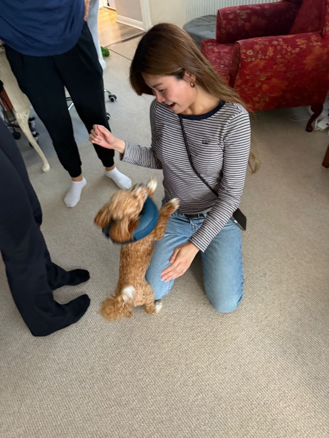 Professional female looking for a double room Main Photo