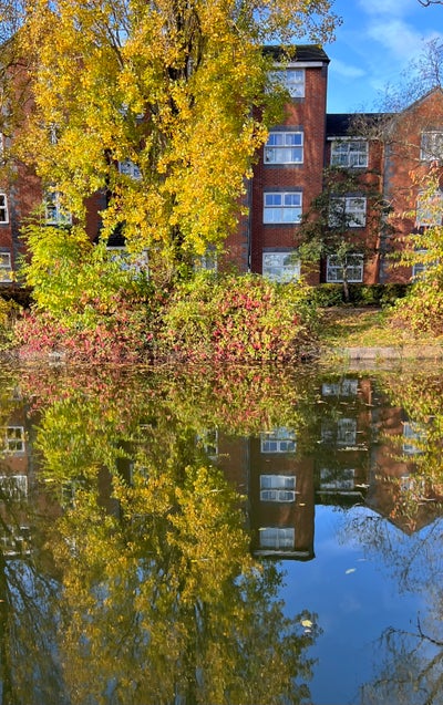 Short term Double bedroom flat to rent Main Photo