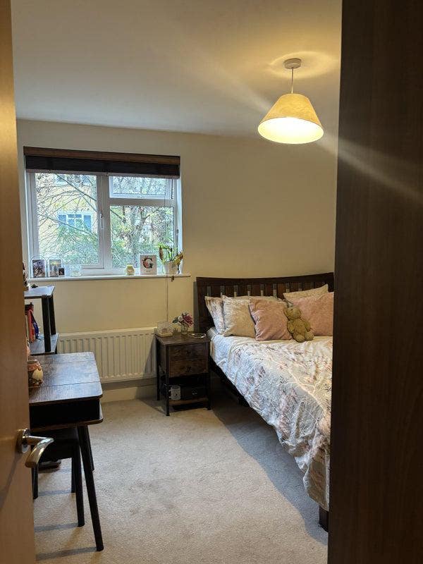 Room in Clapham - £1000pcm, available January Main Photo