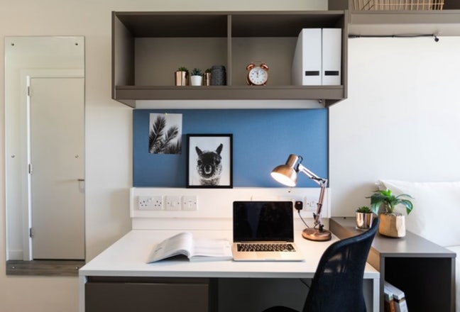 Kingston student apartment Main Photo