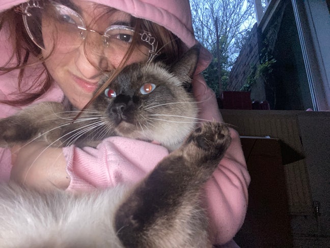 1 F looking 1 bed flat/ apartment / studio  Main Photo