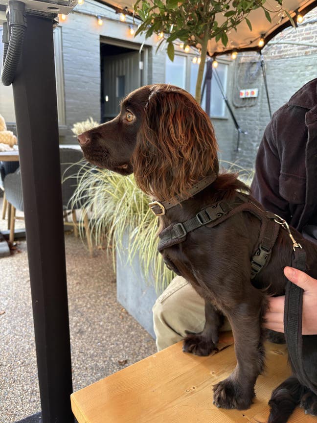 Home-working female lodger needed Main Photo