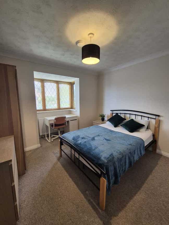 Barton Hills Beautiful Views  - RoomsbySue Main Photo