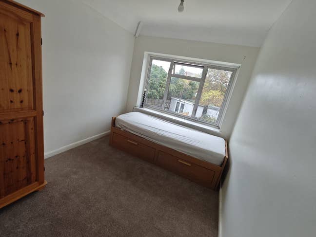 Single or couples  Main Photo