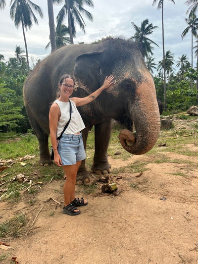 PLEASE DO NOT TEXT IF CATS ARE NOT ALLOW Main Photo