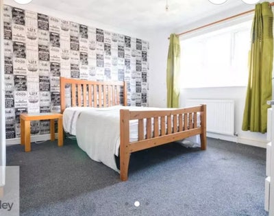 No deposit large bright comfy double  Main Photo