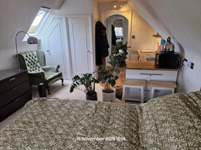 Bright large skyline suite for single professional Main Photo