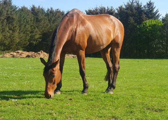 Tentatively looking for April 2026 Main Photo