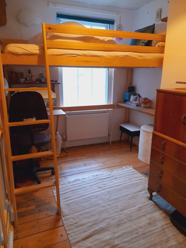 A cozy, sunlit room in NR1 Garden & Lovely people  Main Photo