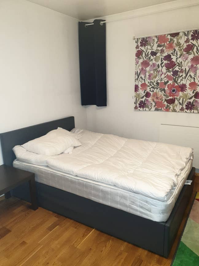 Double room Islington N7 suit single professional. Main Photo
