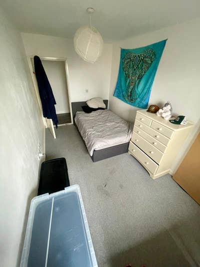 Looking for a nice human to join my 2 bed flat! Main Photo
