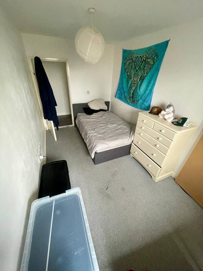 Looking for a nice human to join my 2 bed flat! Main Photo