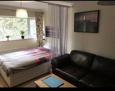 Extra  Large double room with parking Luton Main Photo