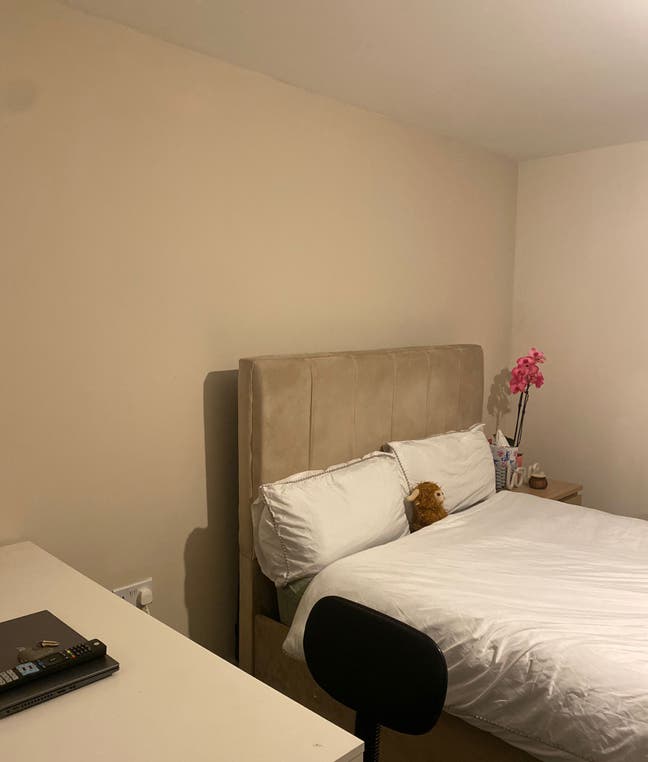 Room available in Frenchay BS16 Main Photo