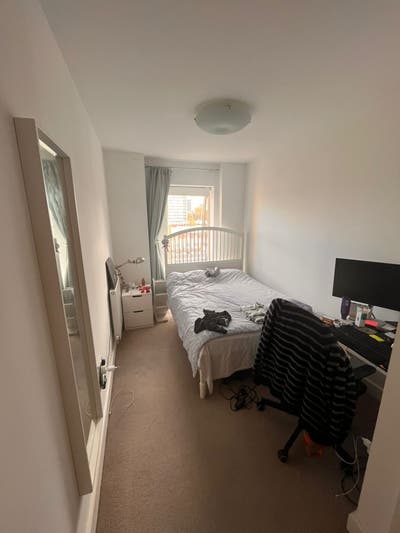 Room available in quiet sunny flat East London Main Photo
