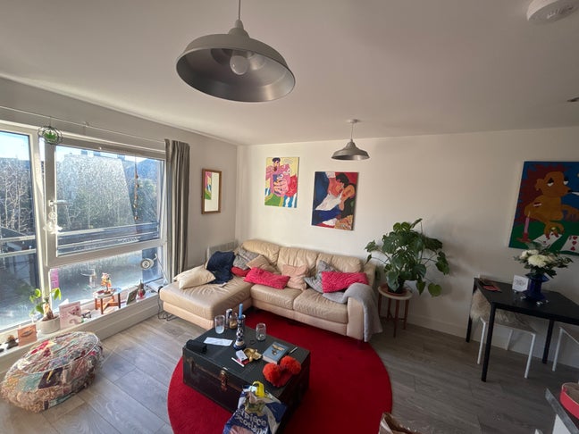 Looking for a room mate who is vibes Main Photo