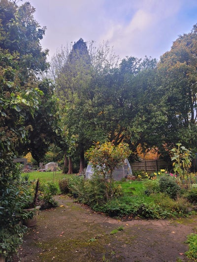 Spacious double room in Moseley  Main Photo