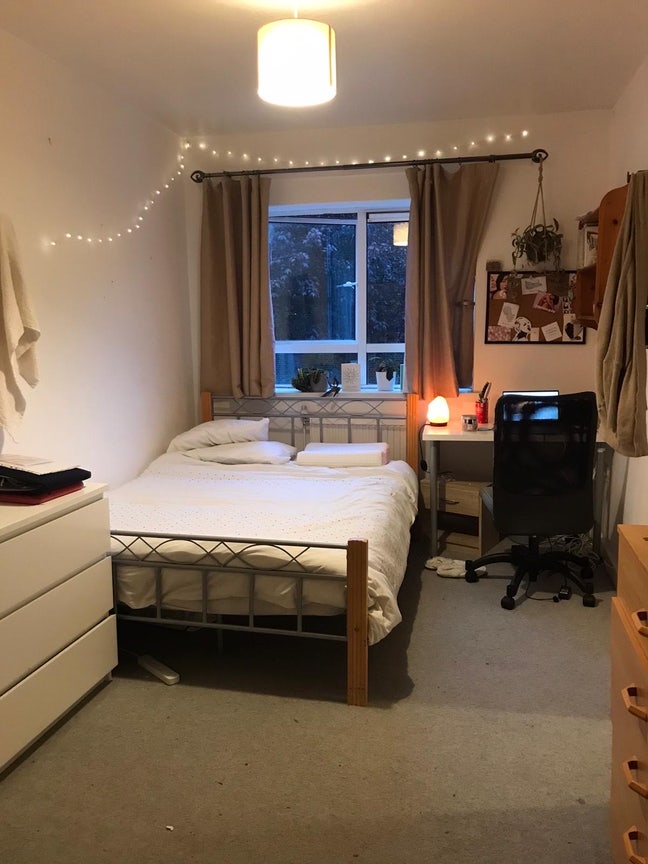 Lovely room Available - Mid December to Mid Feb Main Photo