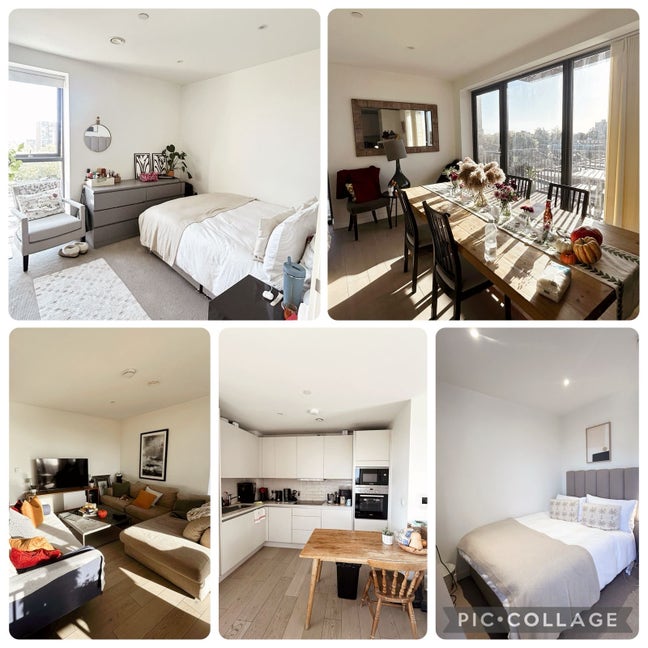 Bright and light room in SW London  Main Photo