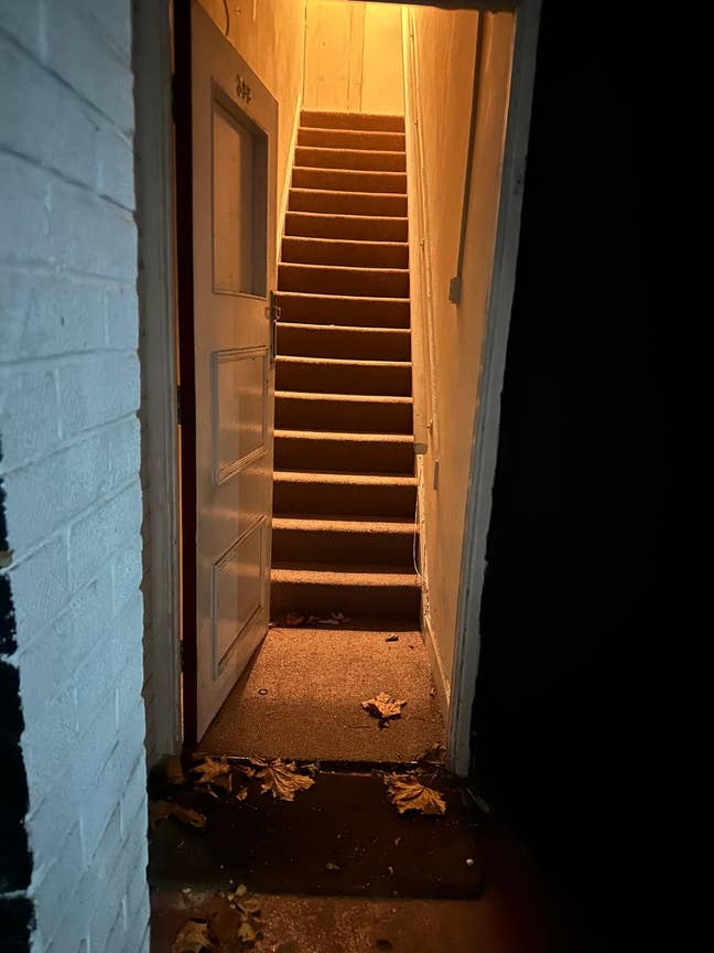 Single room available for female tenant  Main Photo