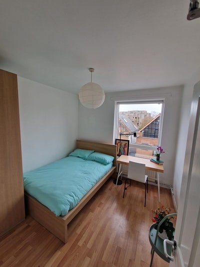 Bright Double Room in Homely Flat (Zone 1) Main Photo