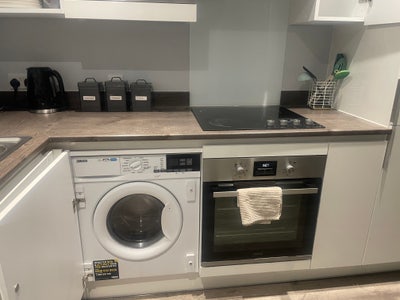 2 Bed Fully Furnished New Apartment for Rent Main Photo