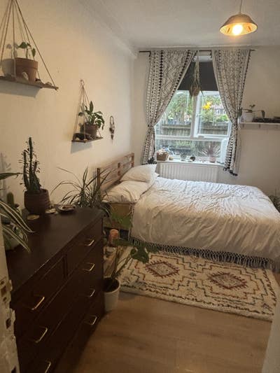 Cozy double room in Homerton  Main Photo