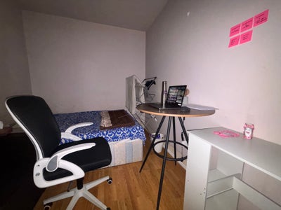 2 Week sublet: My cosy room in Westferry! Main Photo