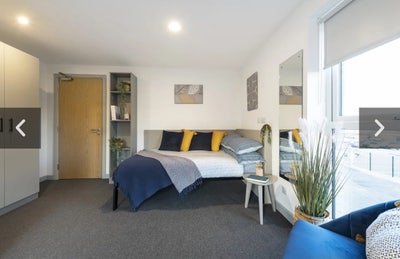 Platinum Ensuite Room  Main Photo